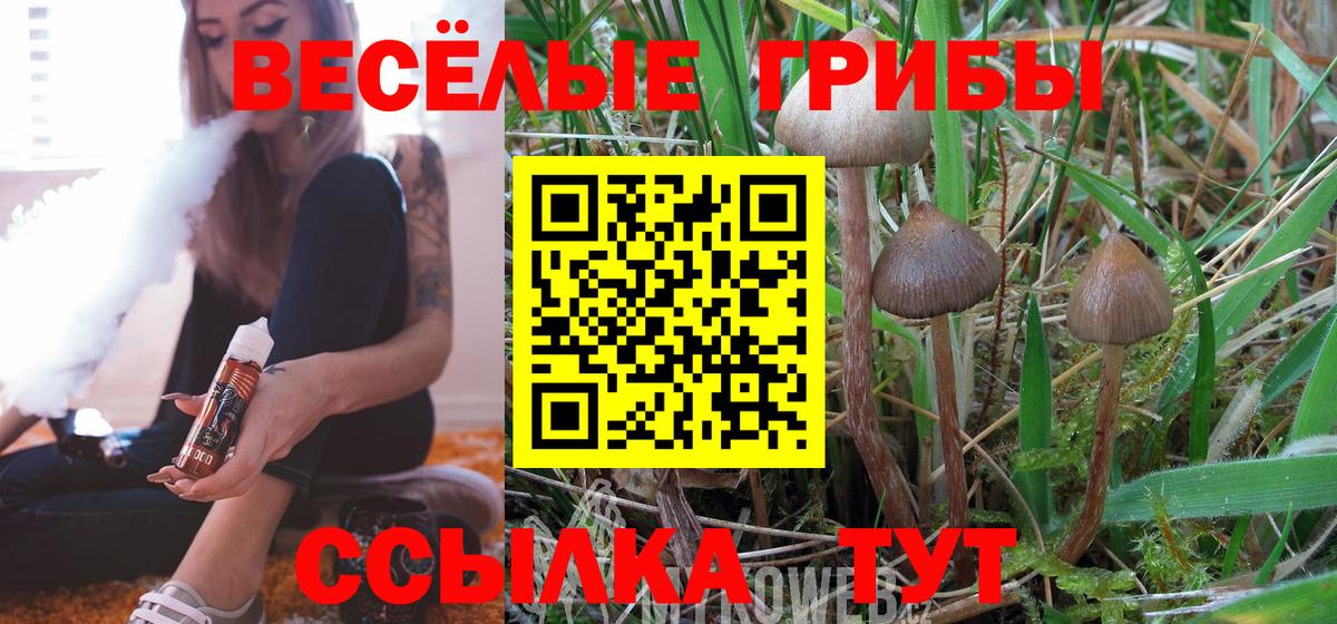 Псилоцибиновые грибы MAGIC MUSHROOMS Красноармейск